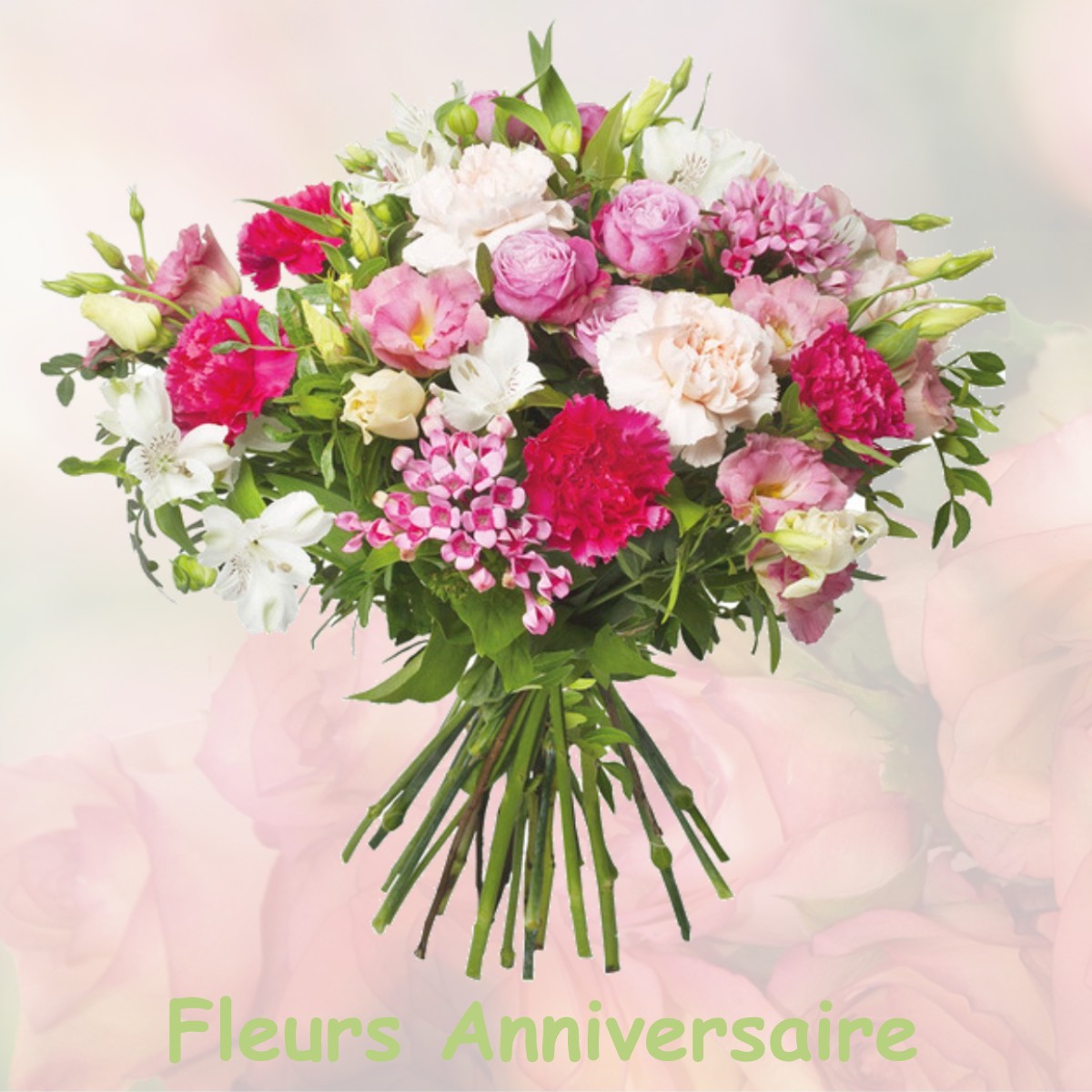 fleurs anniversaire AULNAY-SUR-MAULDRE